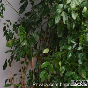 Danny Mancinni Nude Leaks OnlyFans Photo 101