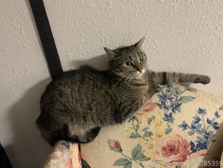 gothxxxbarbie Nude Leaks OnlyFans Photo 16